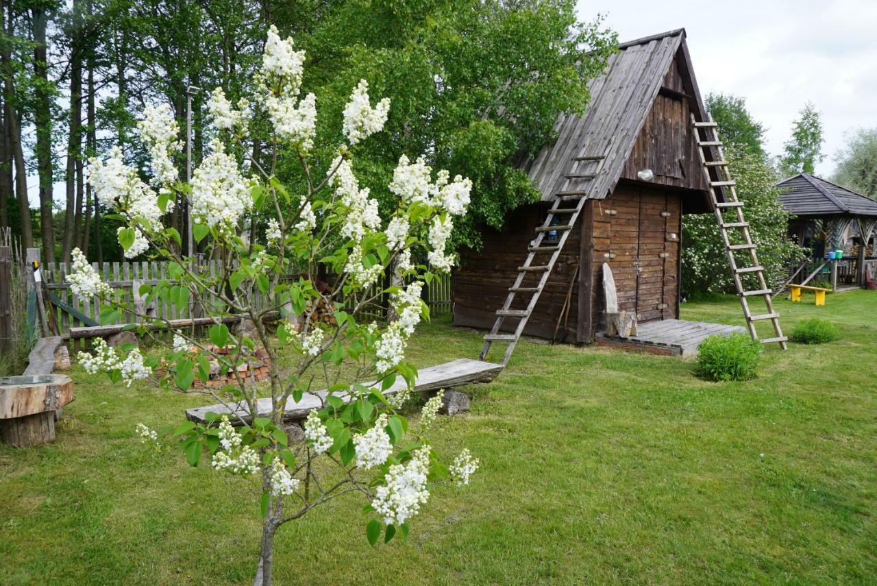 Pie Andra Pitraga Otel Pitrags Dış mekan fotoğraf
