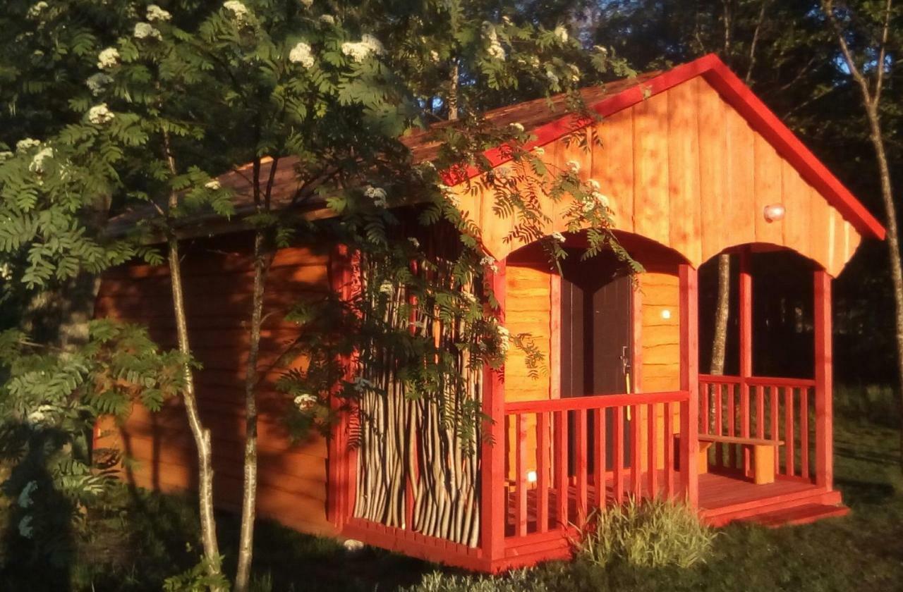 Pie Andra Pitraga Otel Pitrags Dış mekan fotoğraf
