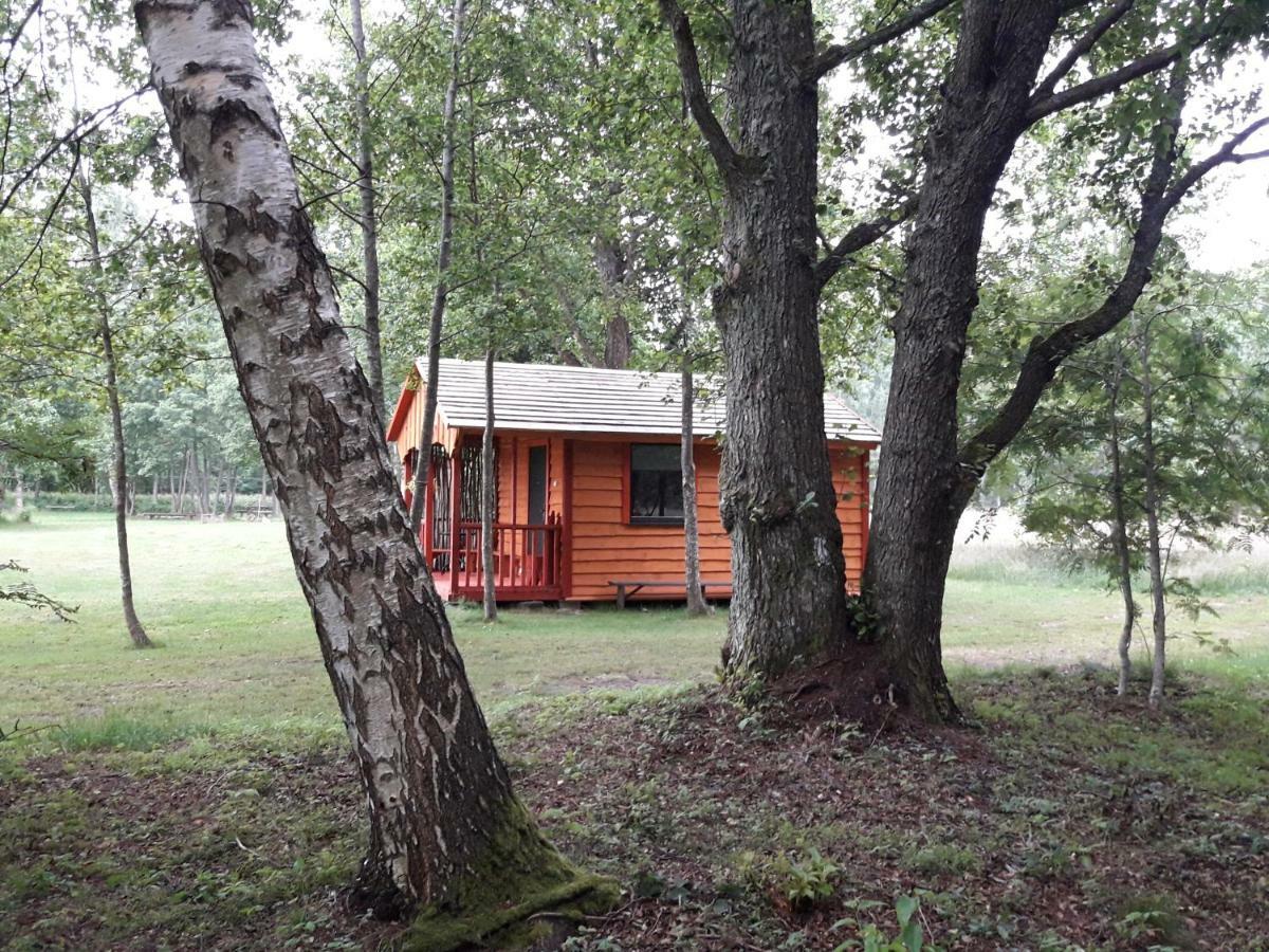 Pie Andra Pitraga Otel Pitrags Dış mekan fotoğraf