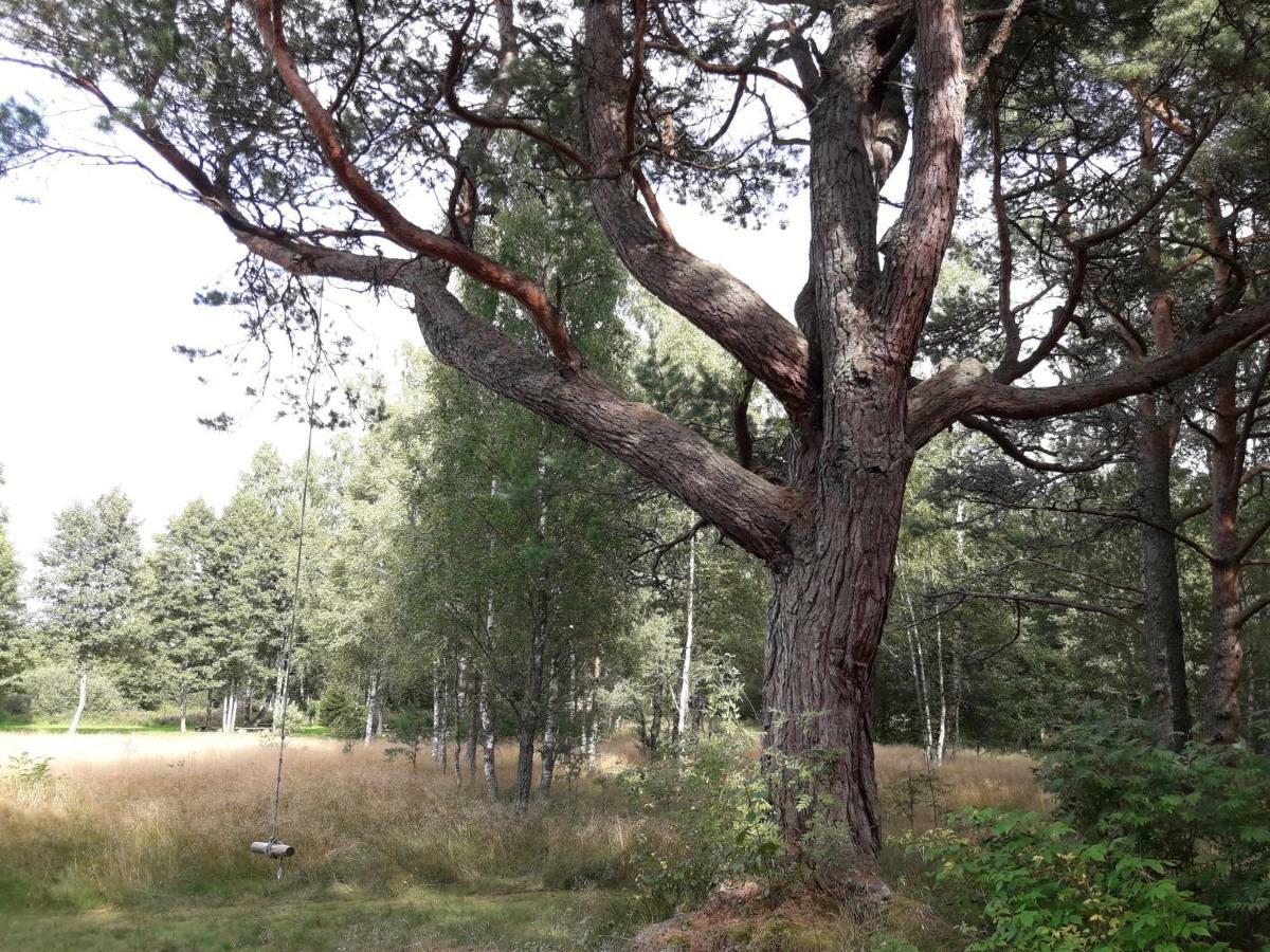 Pie Andra Pitraga Otel Pitrags Dış mekan fotoğraf