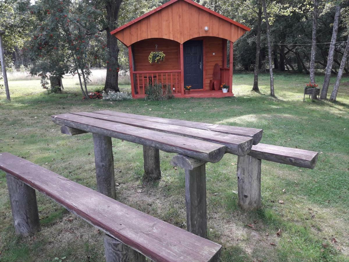 Pie Andra Pitraga Otel Pitrags Dış mekan fotoğraf